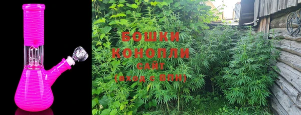 сатива Баксан