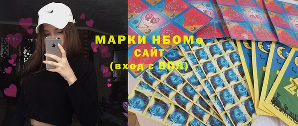 сатива Баксан