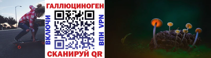 где можно купить Кондрово маркетплейс клад Галлюциногенные грибы MAGIC MUSHROOMS